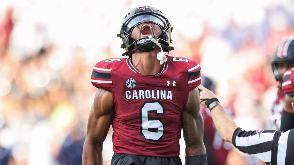 Breaking news: South Carolina Gamecocks Suspended LB Dylan Stewart Following Unsuitable Trolling of HC Shane Beamer…