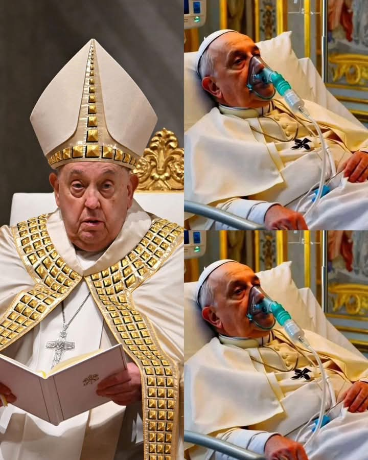 R.l.P .02 .05 (168) Breaking News! His Holiness Pope Francis has failed….. See morre 344   ..see more..