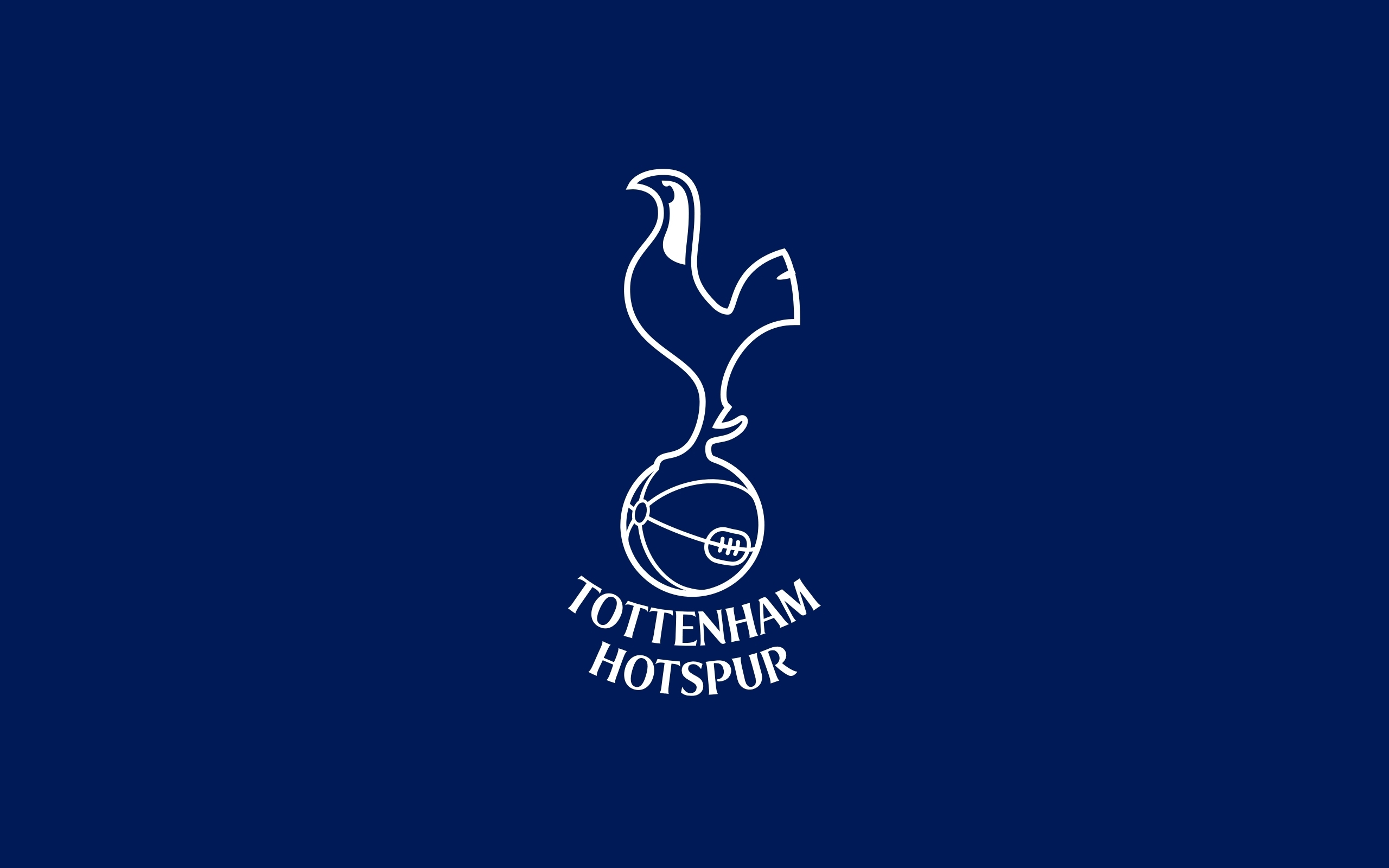 GOOD NEWS: Tottenham Hotspur have a terrible march and the are  expecting the fans to be playing for them to win the march.. see more..